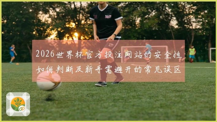 2026世界杯官方投注网站的安全性如何判断及新手需避开的常见误区