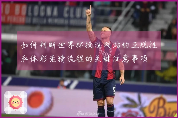 如何判断世界杯投注网站的正规性和体彩竞猜流程的关键注意事项