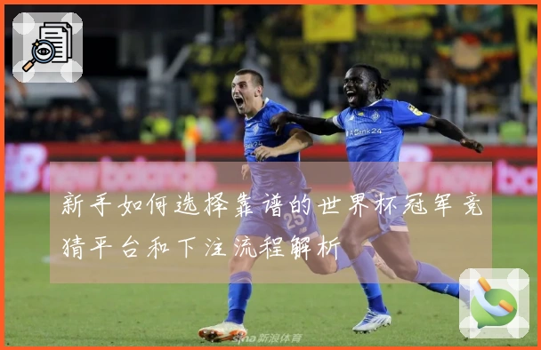 新手如何选择靠谱的世界杯冠军竞猜平台和下注流程解析
