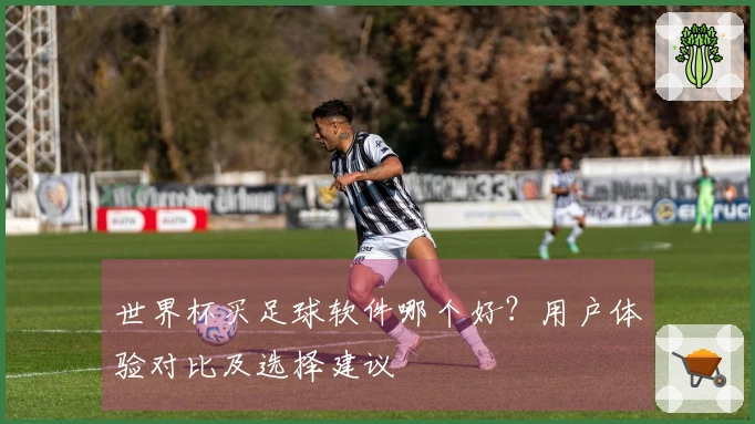 世界杯买足球软件哪个好？用户体验对比及选择建议