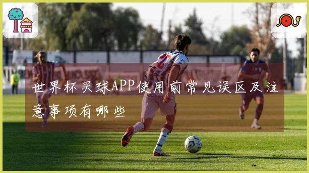 世界杯买球APP使用前常见误区及注意事项有哪些