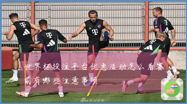 世界杯投注平台优惠活动怎么看赛前有哪些注意事项