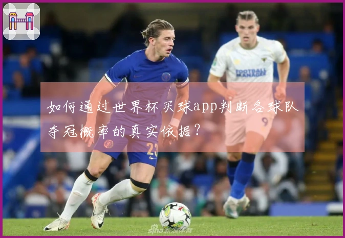 如何通过世界杯买球app判断各球队夺冠概率的真实依据？