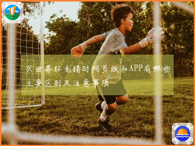 买世界杯竞猜时网页版和APP有哪些主要区别及注意事项