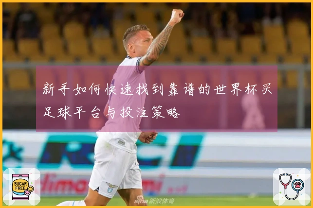 新手如何快速找到靠谱的世界杯买足球平台与投注策略