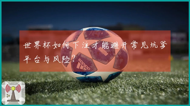 世界杯如何下注才能避开常见坑爹平台与风险？