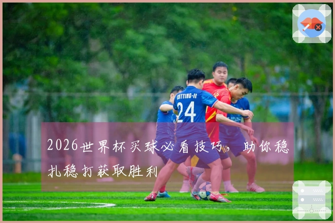 2026世界杯买球必看技巧，助你稳扎稳打获取胜利