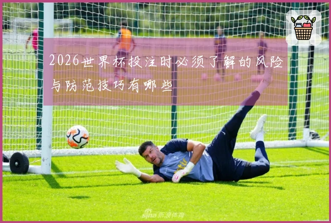 2026世界杯投注时必须了解的风险与防范技巧有哪些