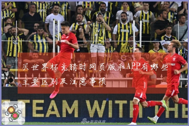 买世界杯竞猜时网页版和APP有哪些主要区别及注意事项