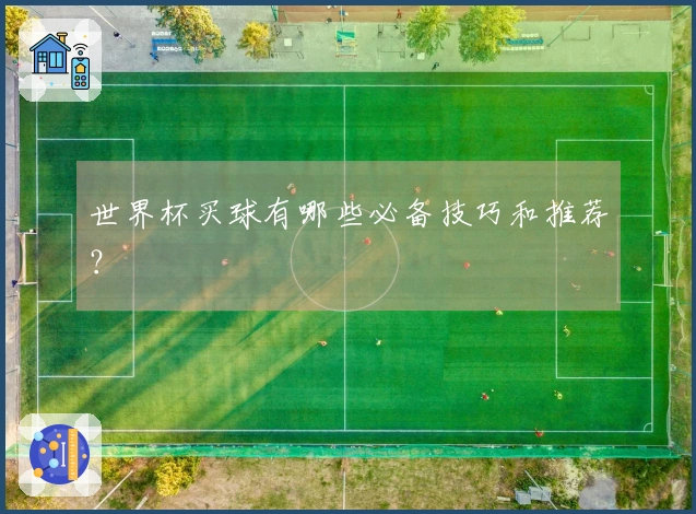 世界杯买球有哪些必备技巧和推荐？