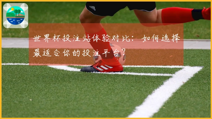 世界杯投注站体验对比：如何选择最适合你的投注平台？