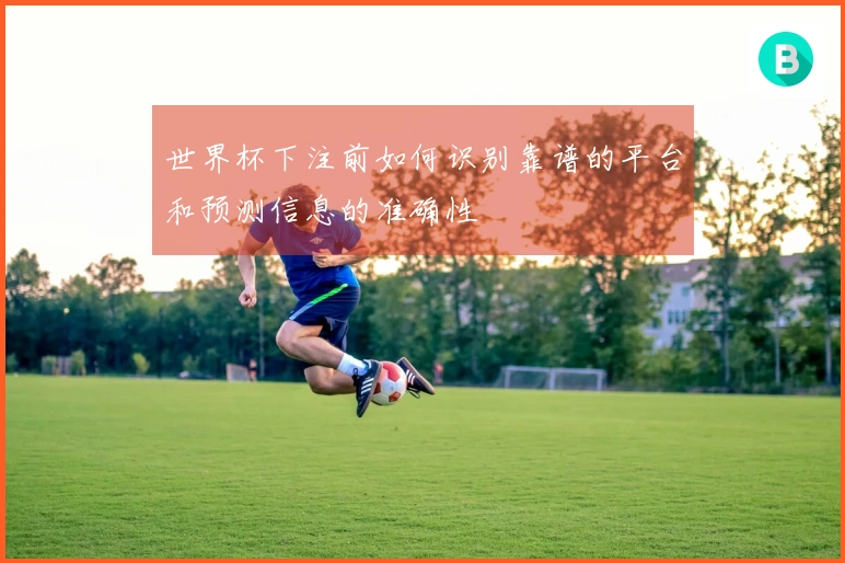 世界杯下注前如何识别靠谱的平台和预测信息的准确性