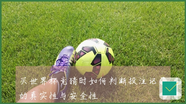 买世界杯竞猜时如何判断投注记录的真实性与安全性