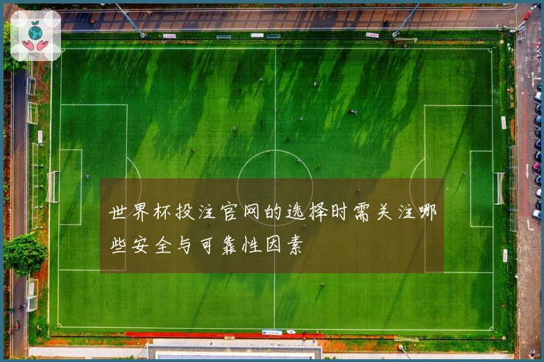 世界杯投注官网的选择时需关注哪些安全与可靠性因素
