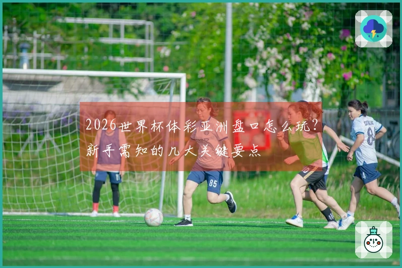 2026世界杯体彩亚洲盘口怎么玩？新手需知的几大关键要点