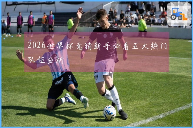 2026世界杯竞猜新手必看五大热门队伍分析