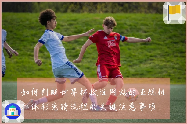如何判断世界杯投注网站的正规性和体彩竞猜流程的关键注意事项